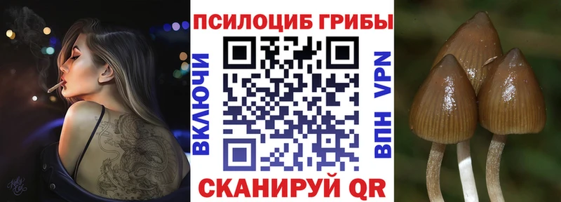 Псилоцибиновые грибы GOLDEN TEACHER  цены наркотик  Отрадное 